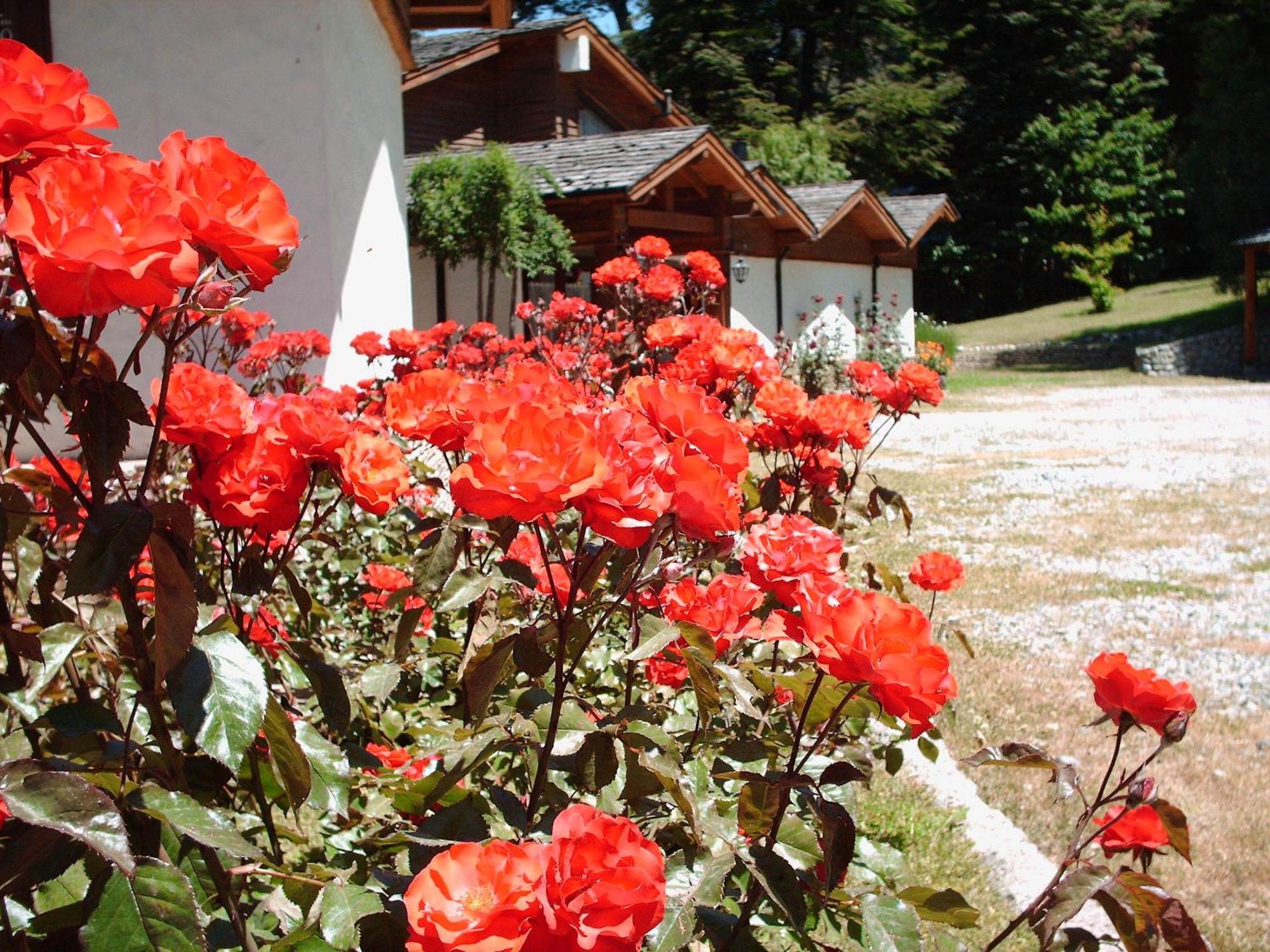 Hosteria El Condado San Carlos de Bariloche Eksteriør billede